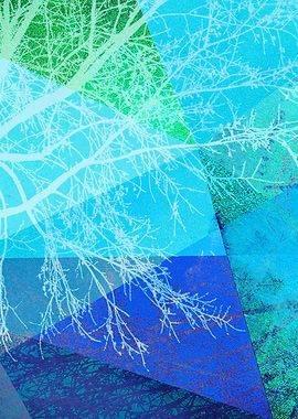 P19-C3 TREES and TRIANGLES