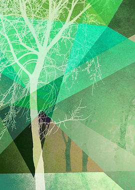 P22-B TREES AND TRIANGLES