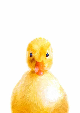 Duckling Illustration