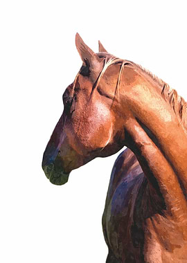 Horse Portrait