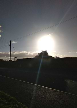 Bright Sun Shadowed Road