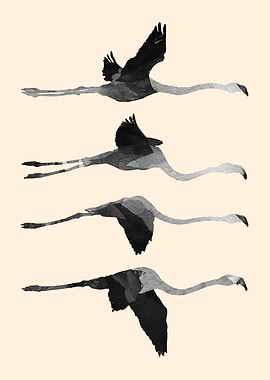 Flying Flamingos