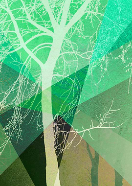 P22-B5 TREES AND TRIANGLES