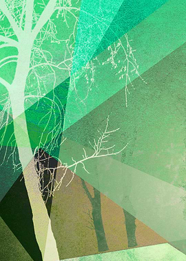 P22-B6 TREES AND TRIANGLES