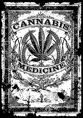 Cannabis Medicine