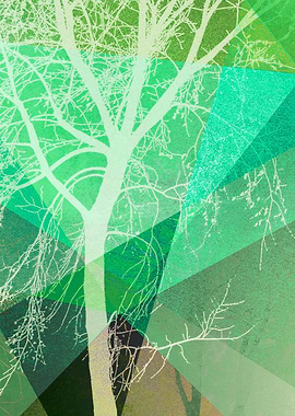 P22-B4 TREES AND TRIANGLES