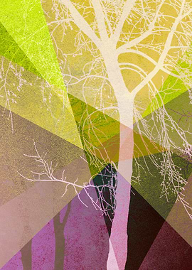 P22-A2 TREES AND TRIANGLES