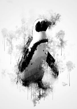 African Penguin in BW