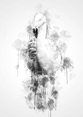 Flamingo Black and White