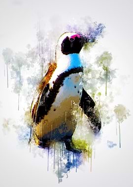 African Penguin
