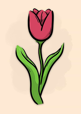 Tulip