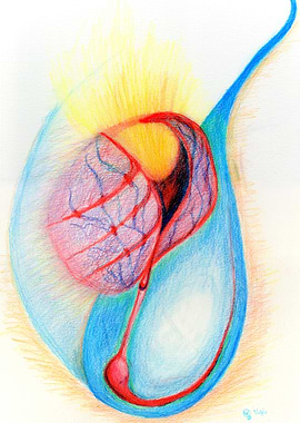 Sacrifice Blood and Water