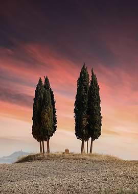 When the sun goes down