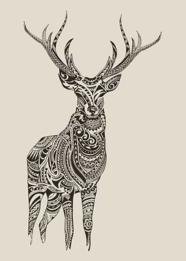Polynesian Deer