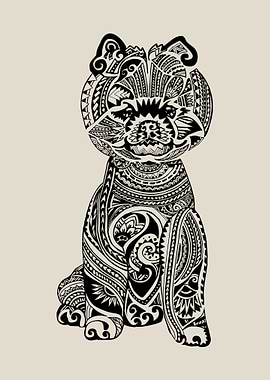 Polynesian Pomeranian