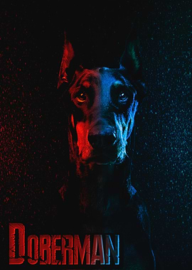 Doberman