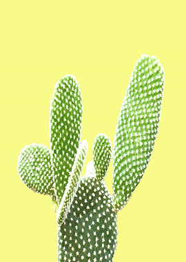 Cactus Yellow Background