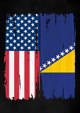 USA Bosnia and Herzegovina