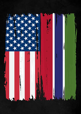 USA Gambia Split Flag