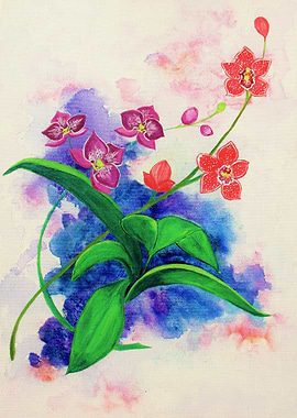 Essence of Orchids