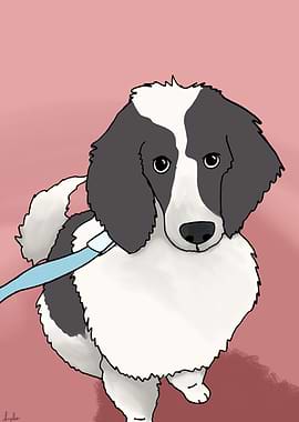 Duchess Poodle puppy