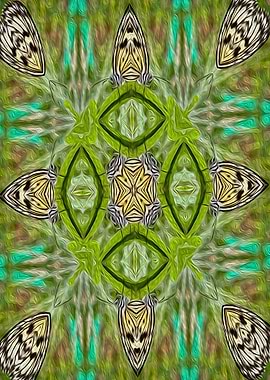 Tree nymph kalaidoscope