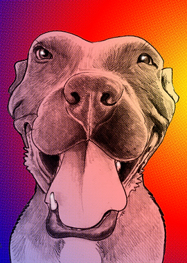 Pit Bull