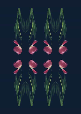 Tulips Pattern