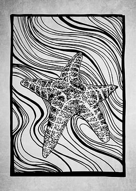 Flurry Starfish