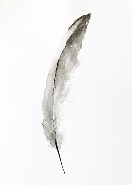 Black Feather