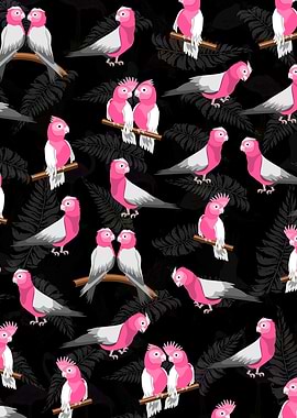 Galah pattern