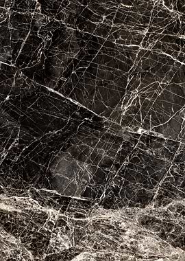 ABSTRACT BLACKandWHITE v2