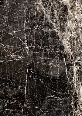 ABSTRACT BLACKandWHITE v3