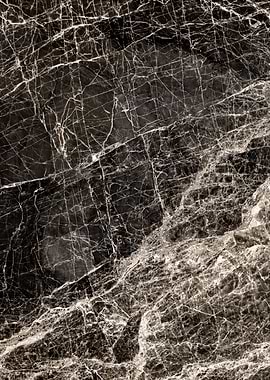 ABSTRACT BLACKandWHITE v1