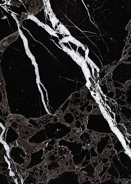 NETWORKED BLACK + WHITE v3