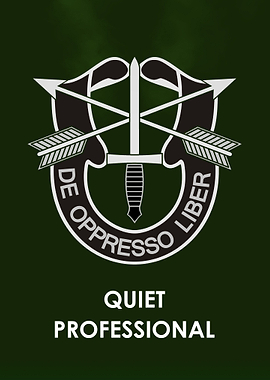 QUIET PROFESSIONAL