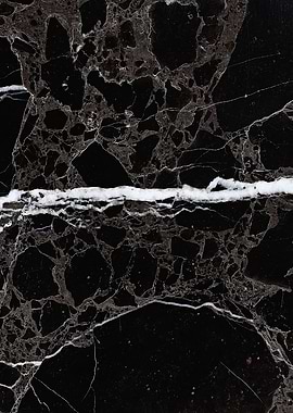 NETWORKED BLACK + WHITE v2