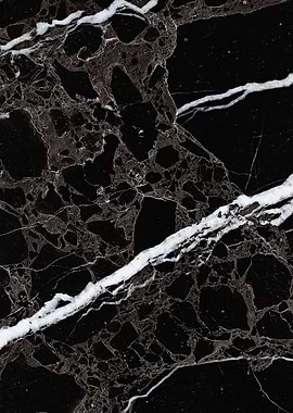 NETWORKED BLACK + WHITE v4