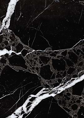 NETWORKED BLACK + WHITE v1