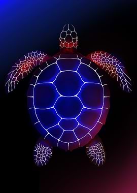Transcending Turtle