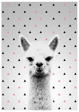 Alpaca pink