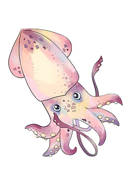 Squid