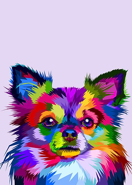 colorful chihuahua dog
