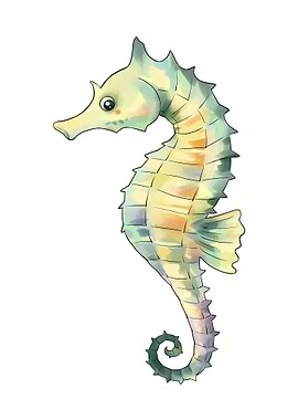 Seahorse