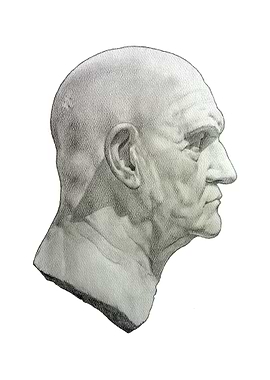 Marble Bust of a Man