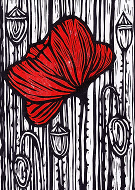 Poppy on Moonlight Meadow