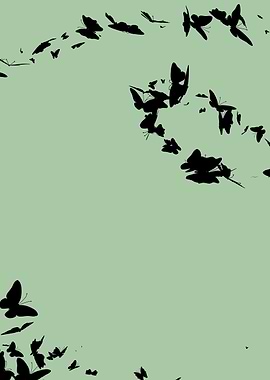 ButterfliesInMusic04