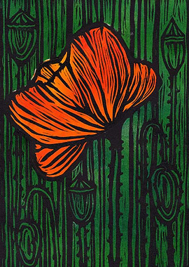 Orange Poppy on a Meadow