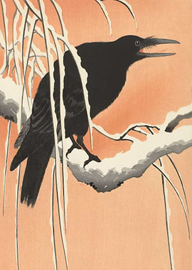 Crow on Snowy Branch