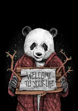 panda panda